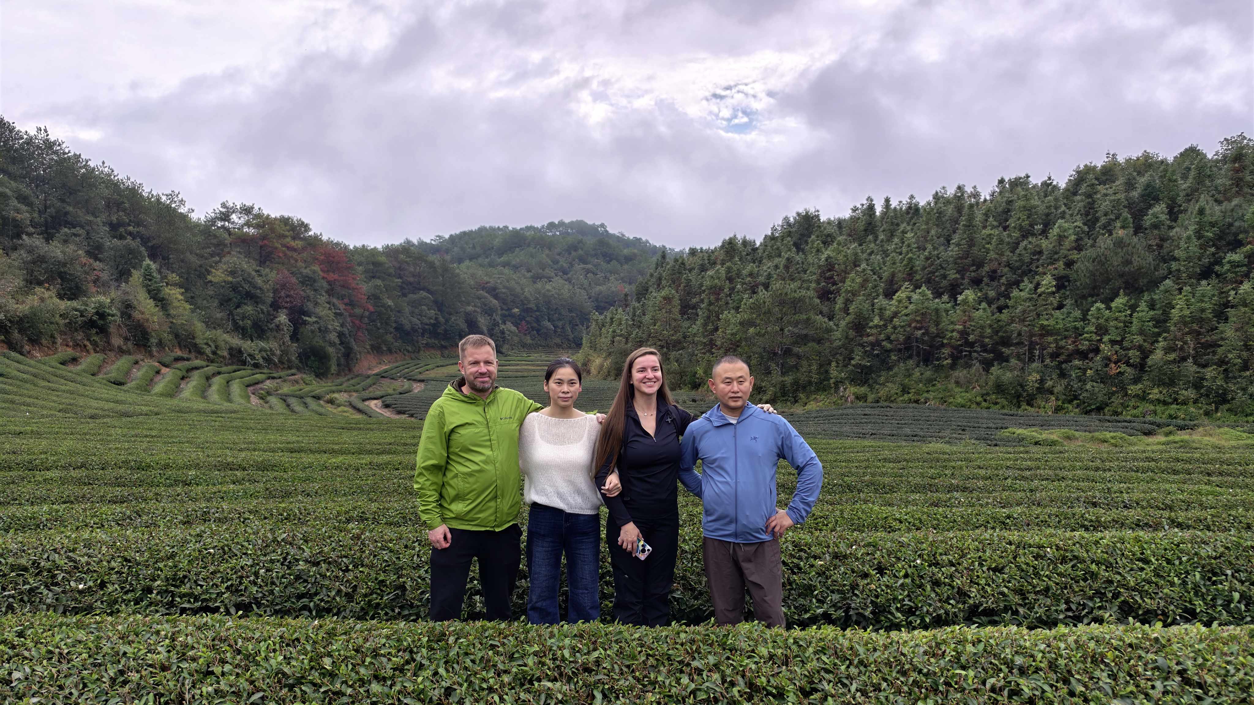 Сад чайного отеля с видом на горы
