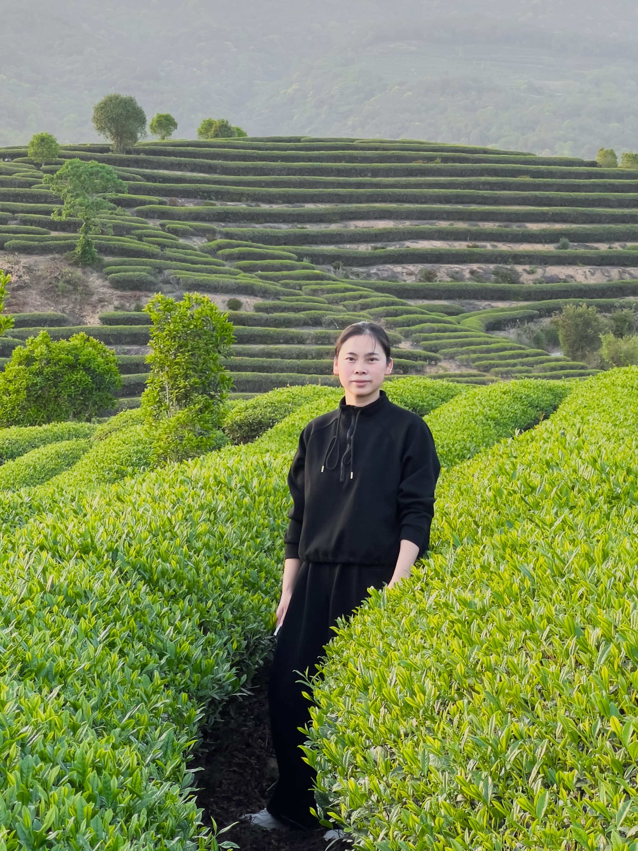 Master Tea Grower Li Wei Chen in traditional tea plantation in Fujian Province